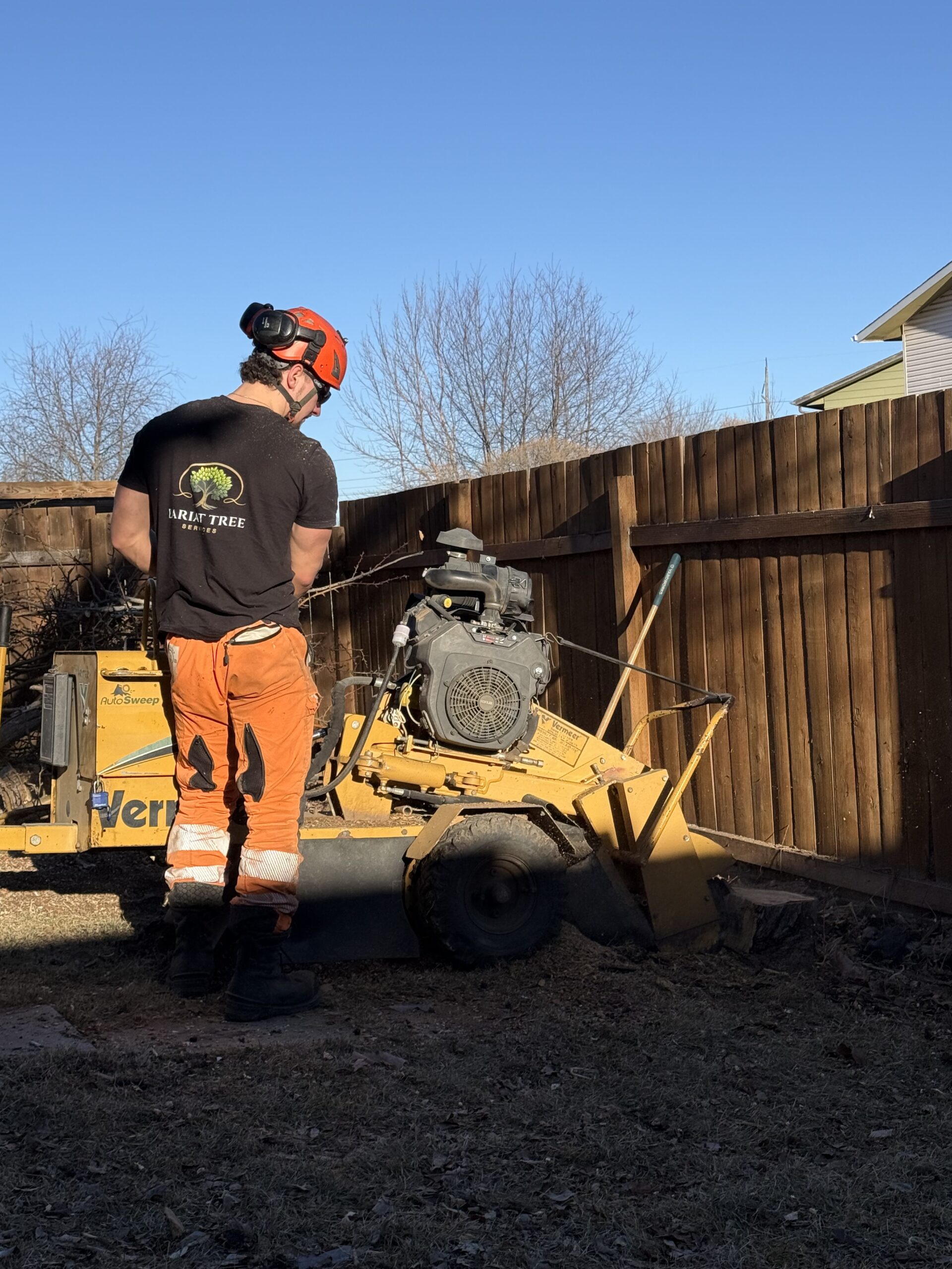 Stump Grinding
