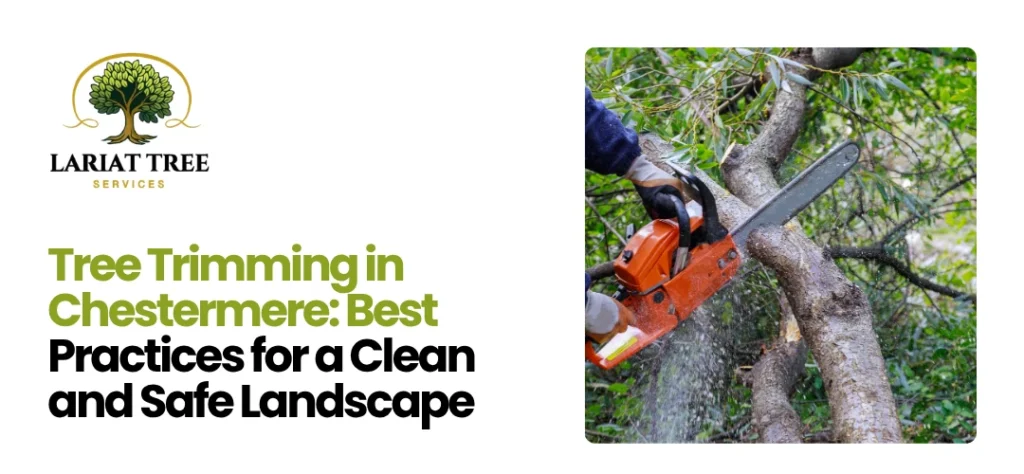 Tree Trimming Chestermere