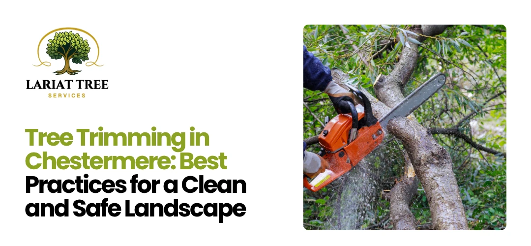 Tree Trimming Chestermere