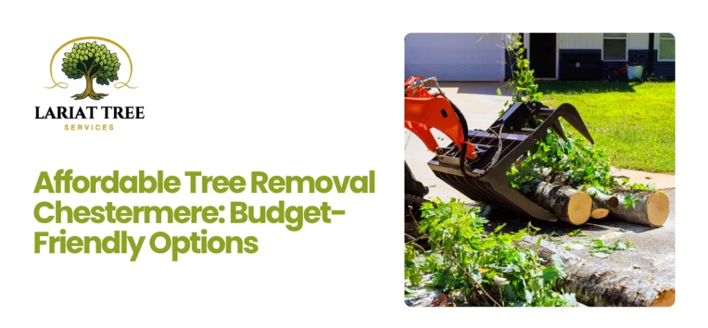 Tree Removal Chestermere