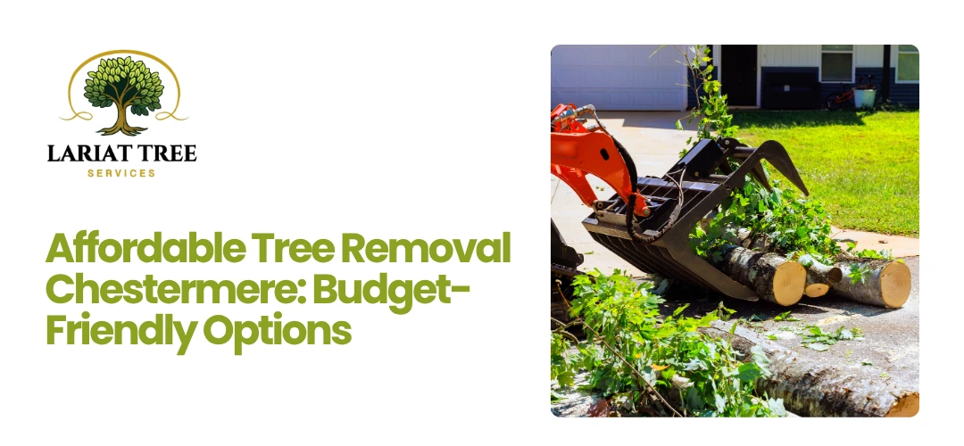 Tree Removal Chestermere