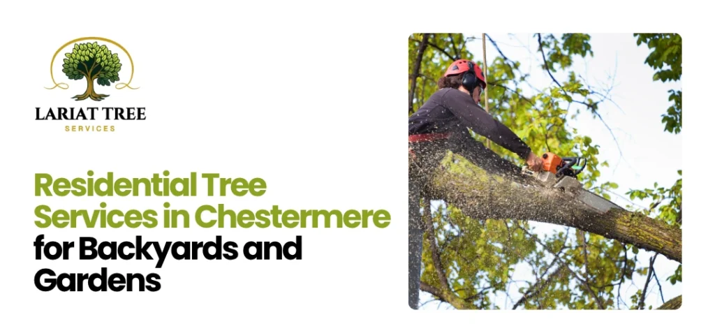 Residential Tree Removal