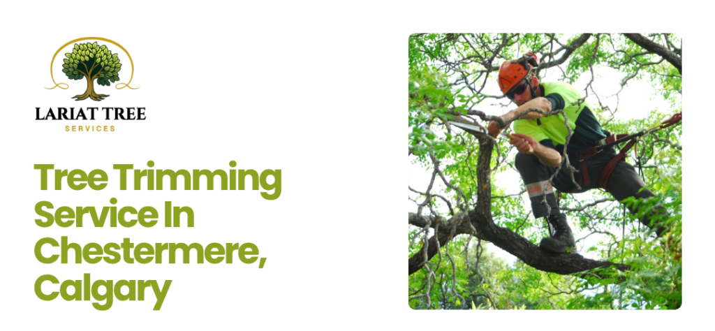 Tree Trimming Service Chestermere