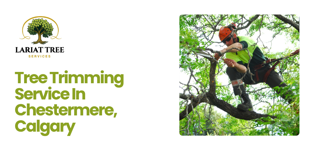 Tree Trimming Service Chestermere